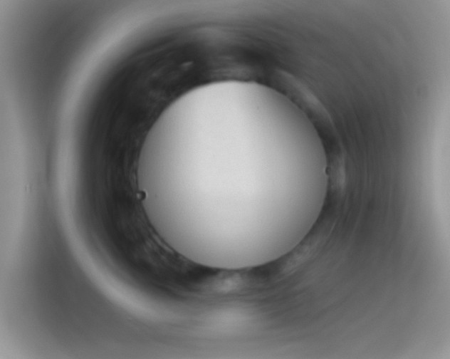 X0000113980764200910091318