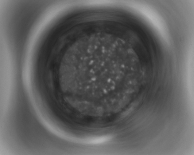 X0000113980765200910091318