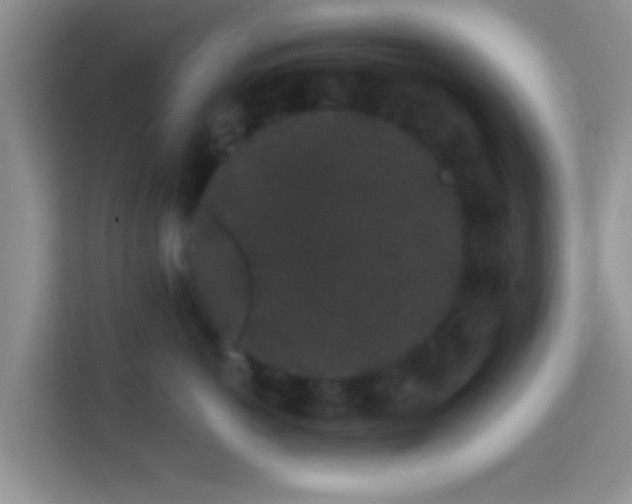 X0000113980766200910091318