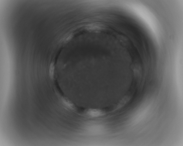 X0000113980767200910091318