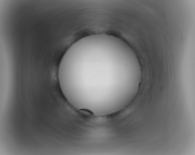 X0000113980768200910091318