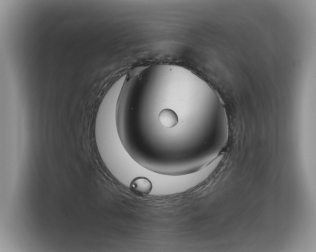 X0000113980769200910091317