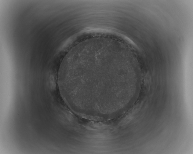 X0000113980774200910091317