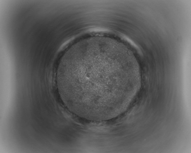 X0000113980775200910091317