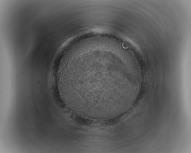 X0000113980776200910091317