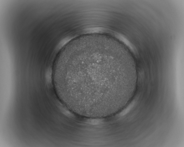 X0000113980778200910091317