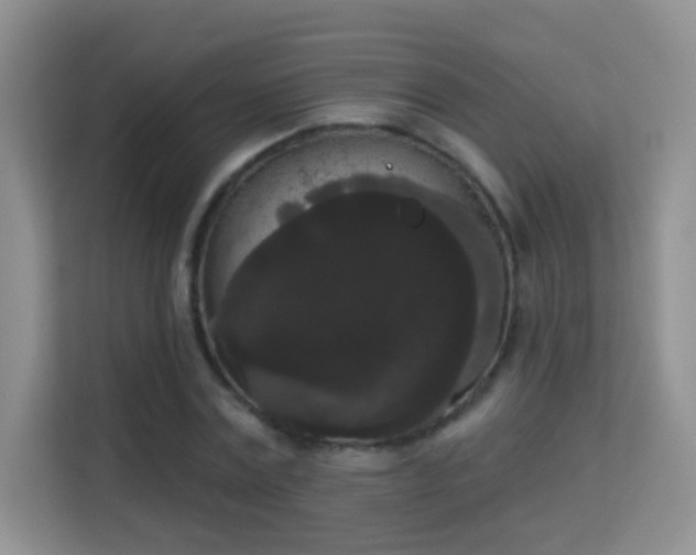 X0000113980779200910091317