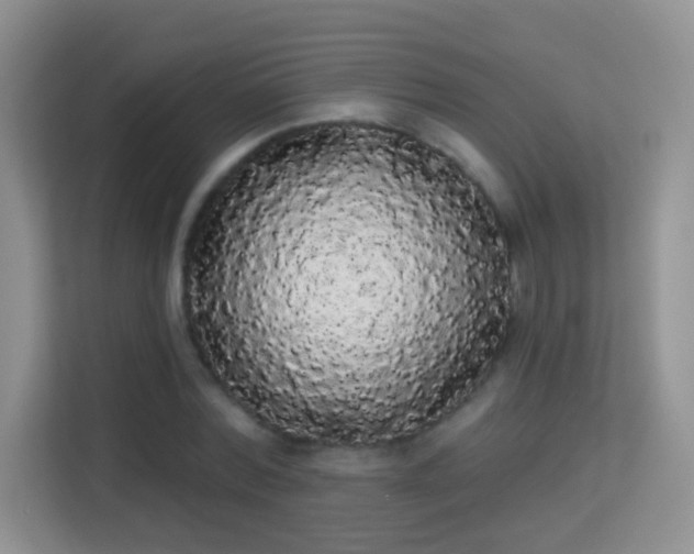 X0000113980780200910091317