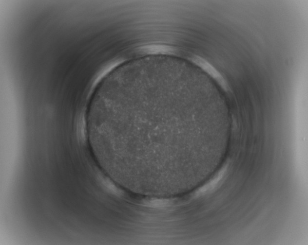 X0000113980782200910091317