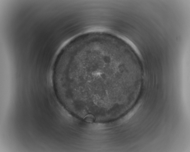 X0000113980783200910091317