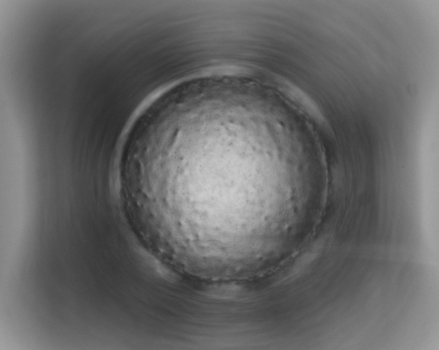 X0000113980784200910091317