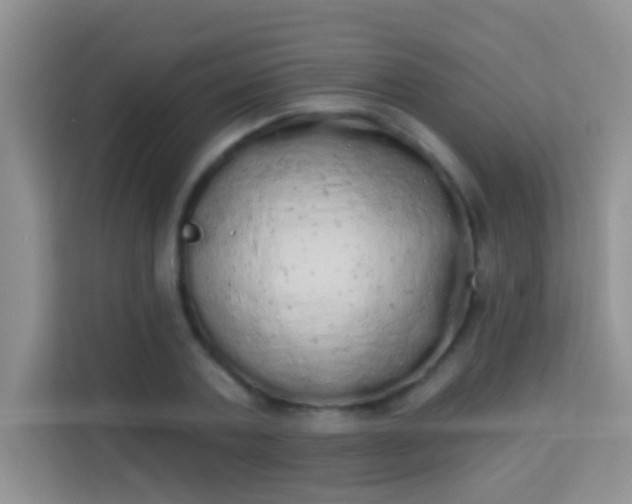 X0000113980787200910091317