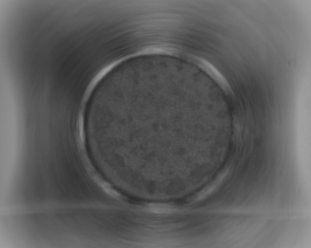 X0000113980788200910091317