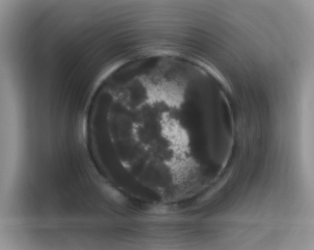 X0000113980790200910091317