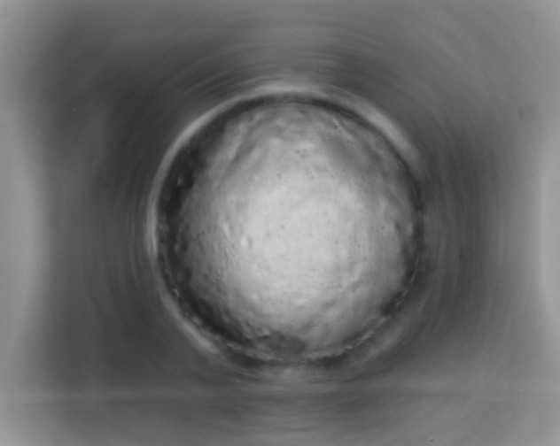 X0000113980791200910091317