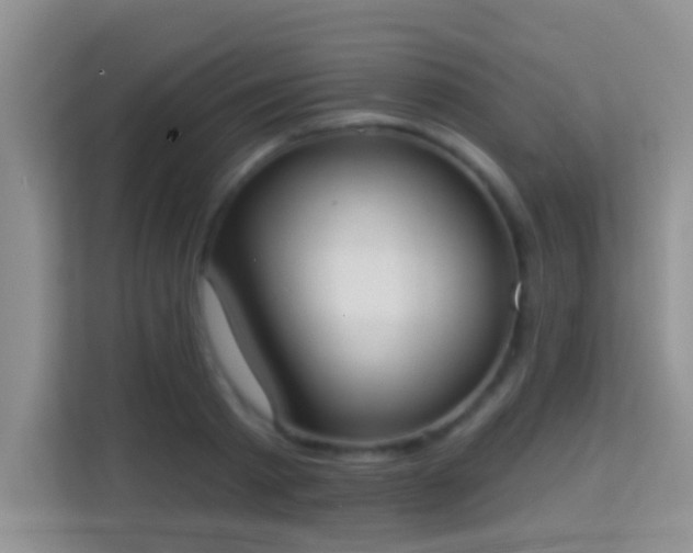 X0000113980793200910091317