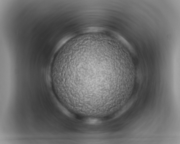 X0000113980794200910091317