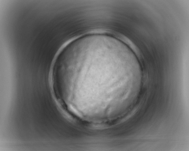 X0000113980795200910091317