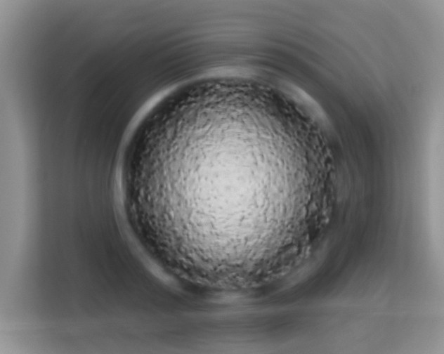 X0000113980796200910091317