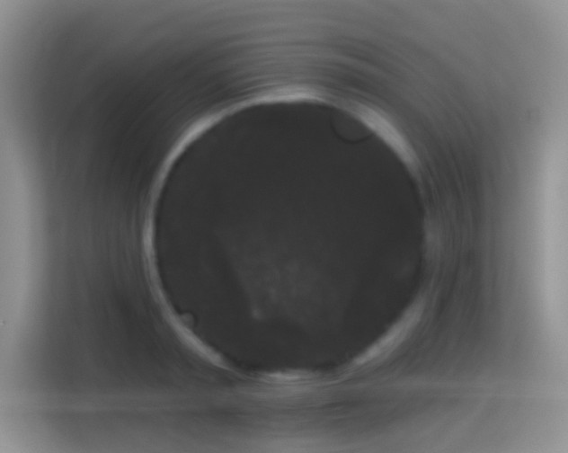 X0000113980797200910091317