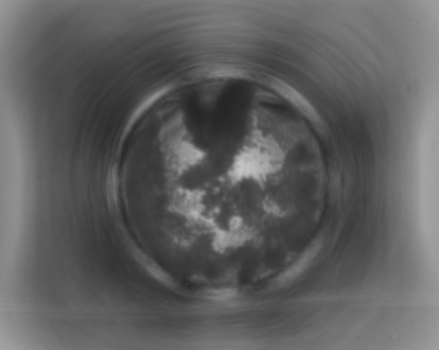 X0000113980798200910091317