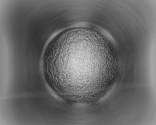 X0000113980800200910091317