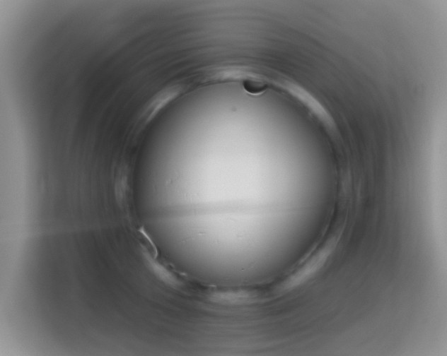 X0000113980801200910091317