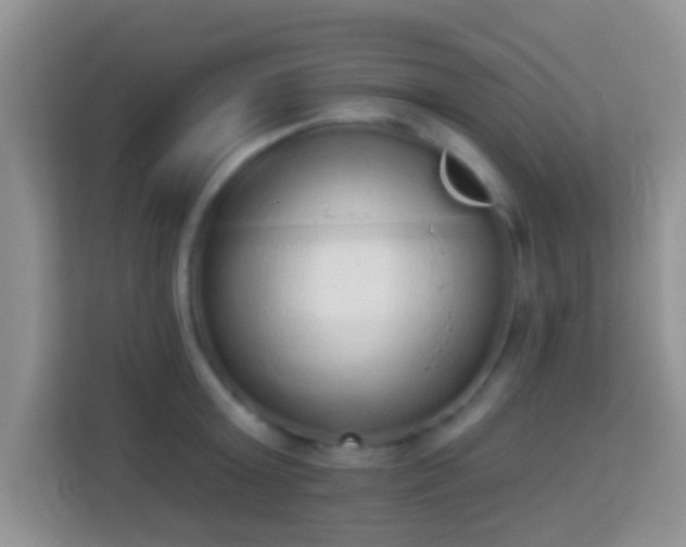 X0000113980803200910091317