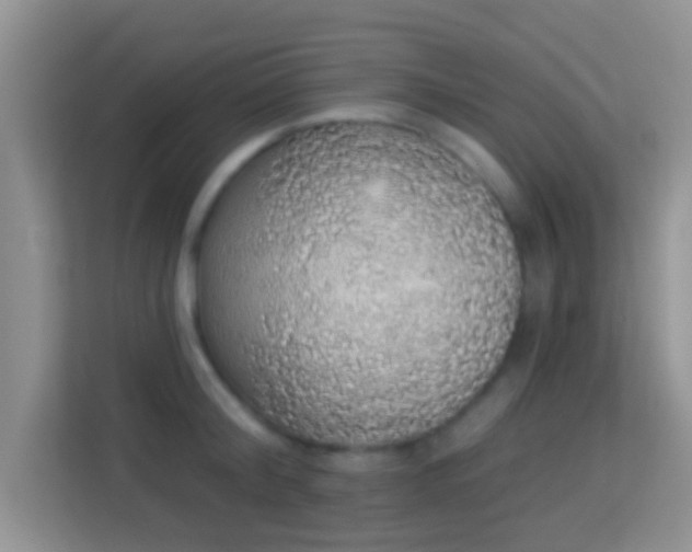 X0000113980804200910091317