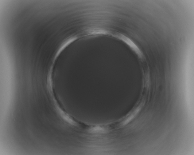 X0000113980806200910091317