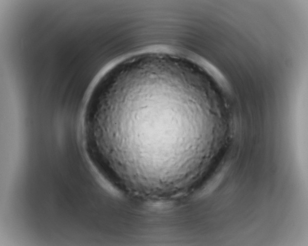 X0000113980808200910091317