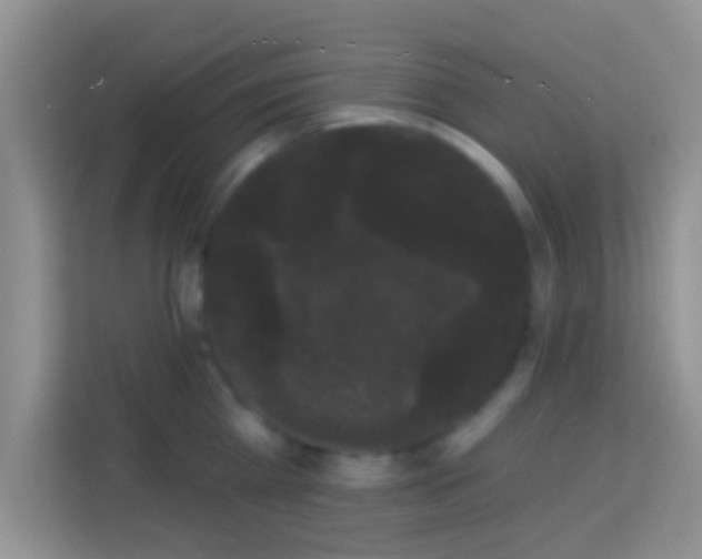 X0000113980809200910091317