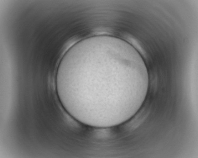 X0000113980810200910091317