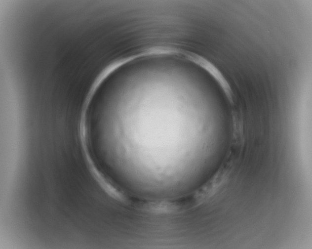 X0000113980811200910091317