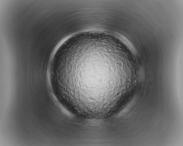 X0000113980812200910091317