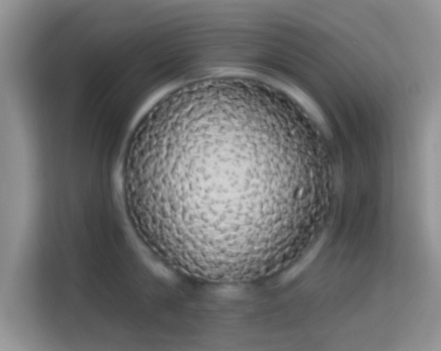 X0000113980814200910091316