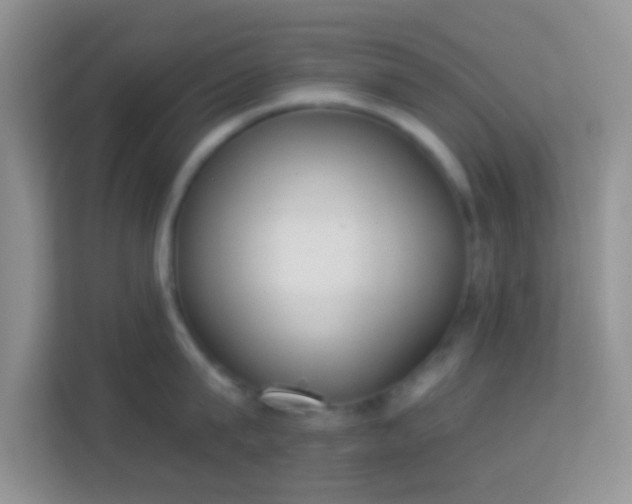 X0000113980815200910091316