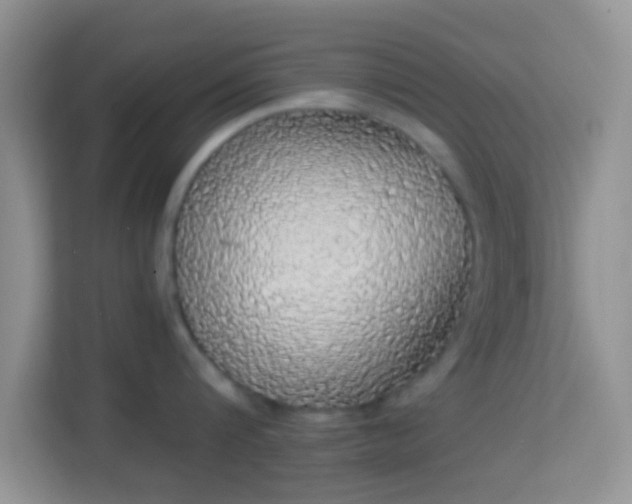 X0000113980816200910091316