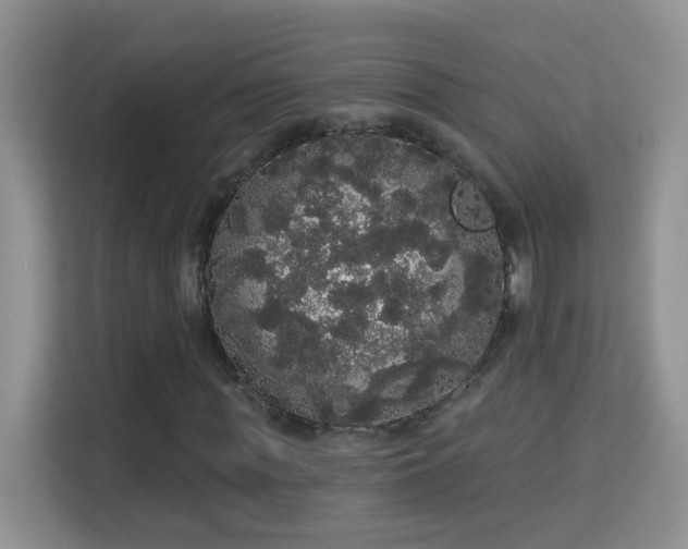 X0000113980819200910091316