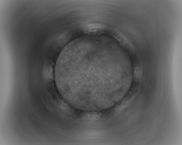 X0000113980820200910091316