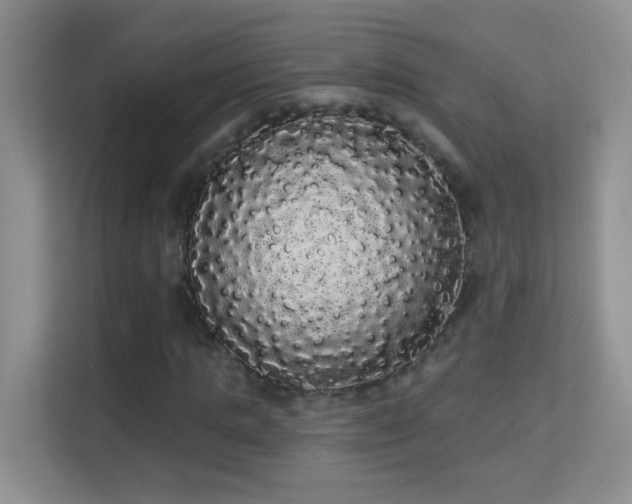 X0000113980821200910091316