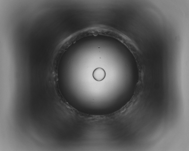 X0000113980822200910091316