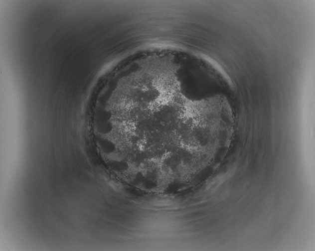 X0000113980823200910091316