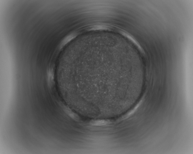 X0000113980826200910091316