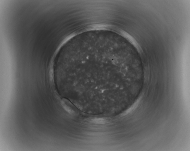 X0000113980827200910091316