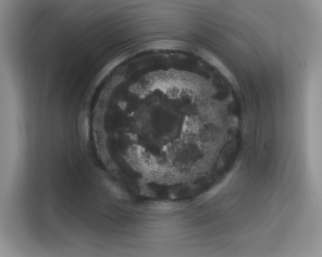 X0000113980829200910091316