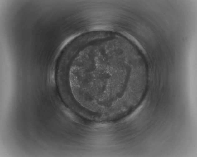 X0000113980830200910091316