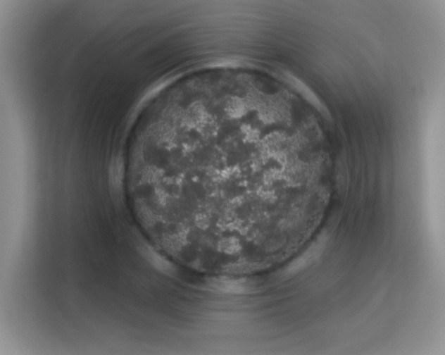 X0000113980831200910091316