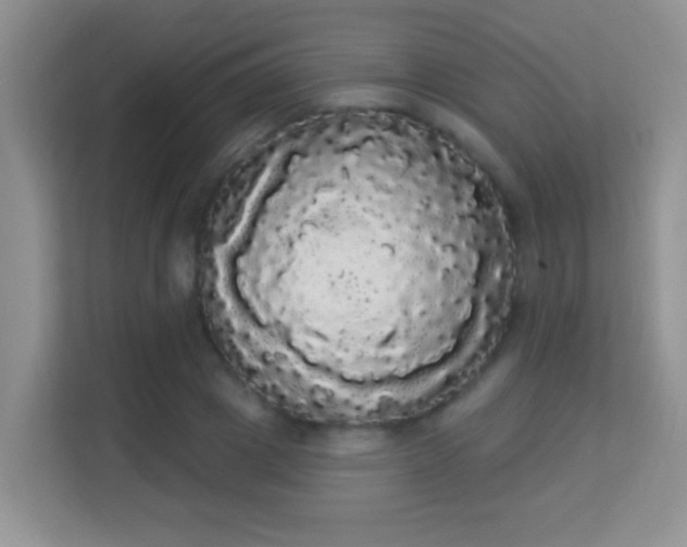 X0000113980833200910091316