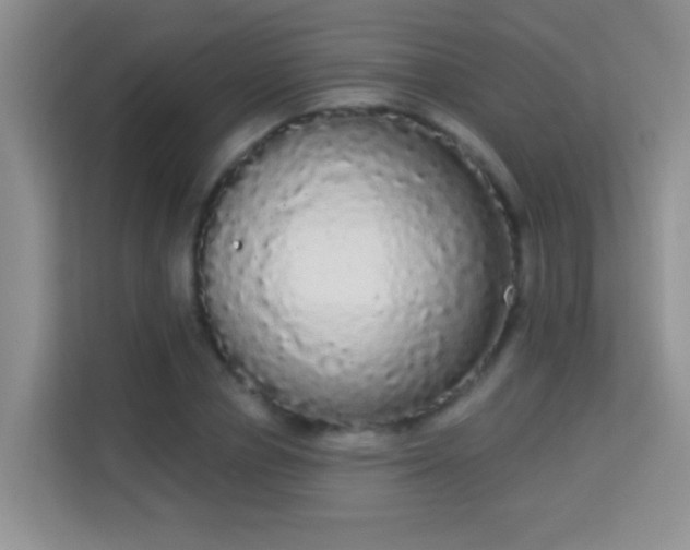 X0000113980834200910091316